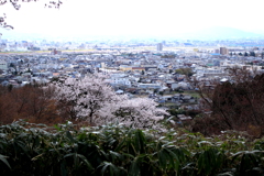 富山市街地を見下ろせる呉羽山