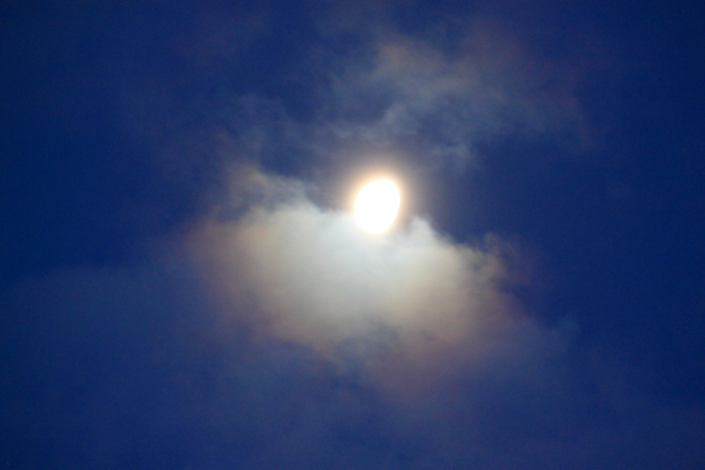 凍てつく朝の光