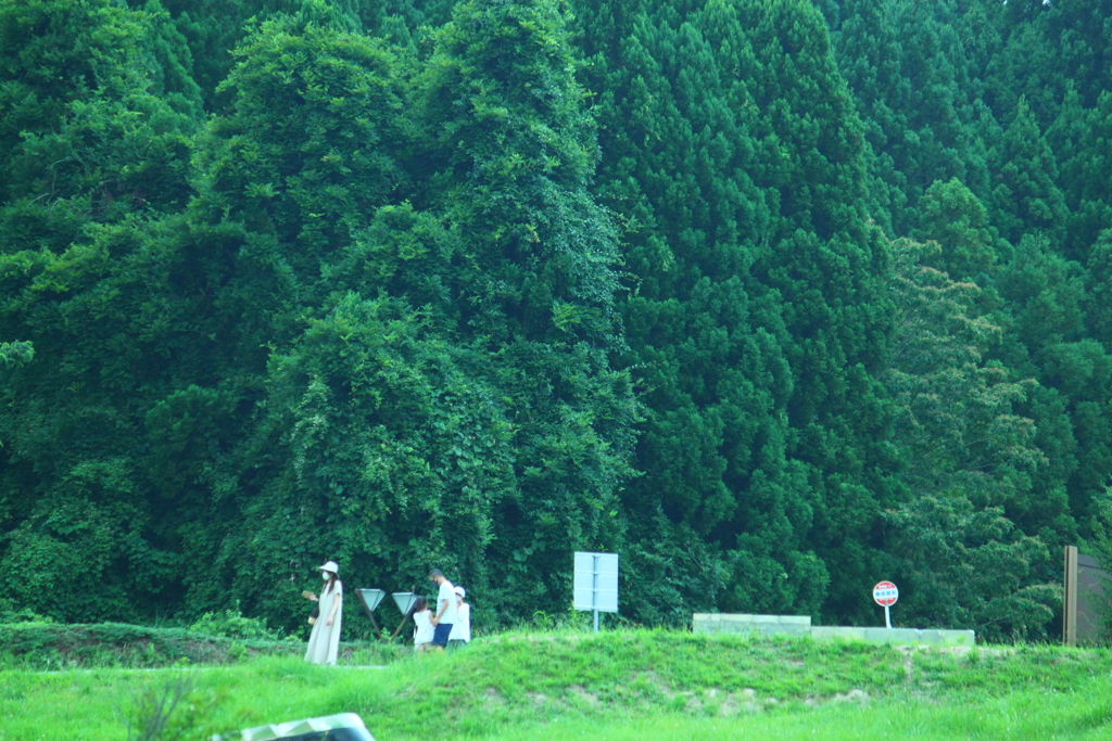 空気が良い森と不釣り合いのマスク