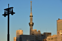 スカイツリー