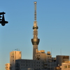 スカイツリー