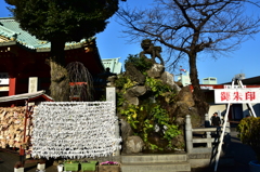 神田明神！獅子とおみくじ結びつけ