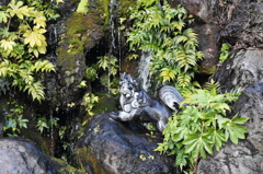 神田明神！岩中の獅子