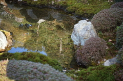 東福寺開山堂の池