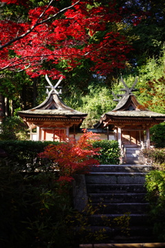 春日堂・白山堂