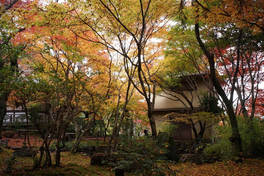 檀林寺庭園