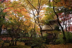 檀林寺庭園