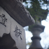 献燈