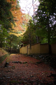 嵐山の片隅