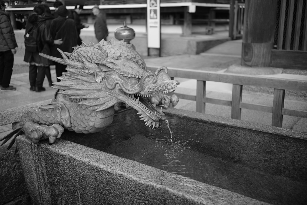手水鉢の龍