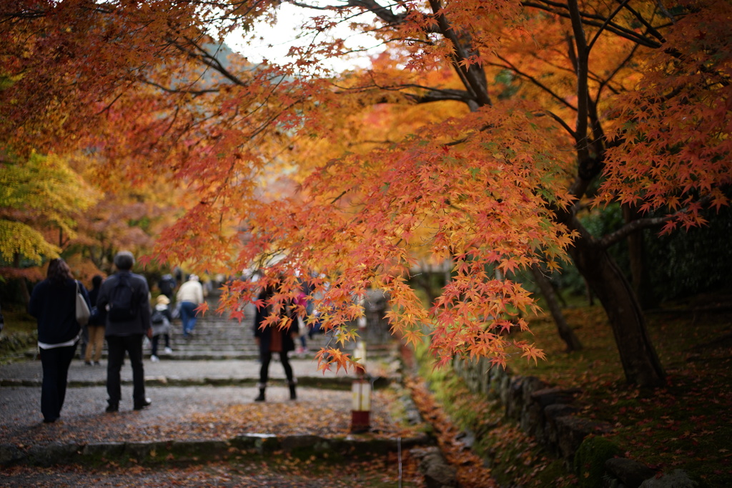 紅葉の馬場