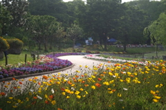 南側花壇