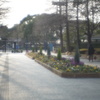 長居植物園のゲート前花壇