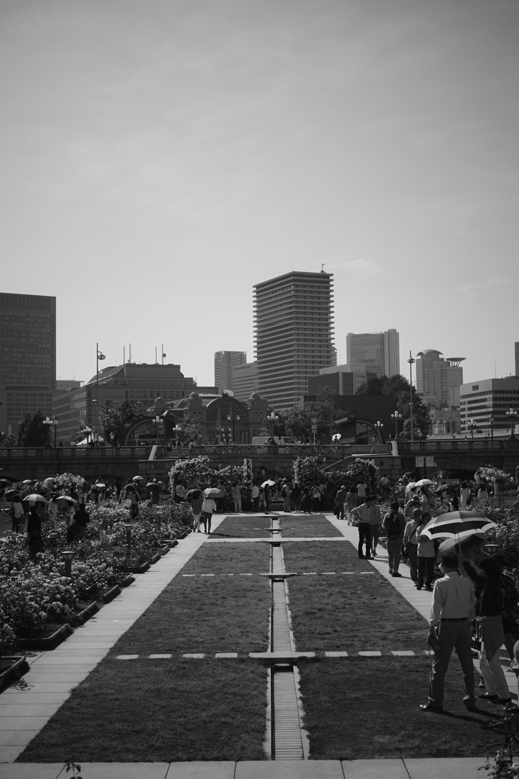 中之島バラ園