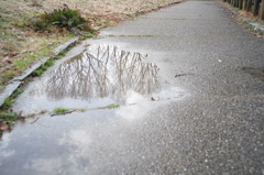 雨上がり