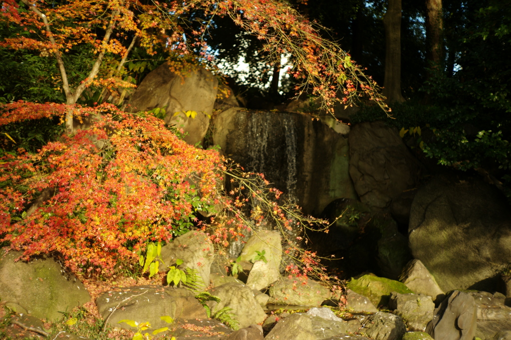 紅葉と滝