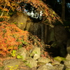 紅葉と滝