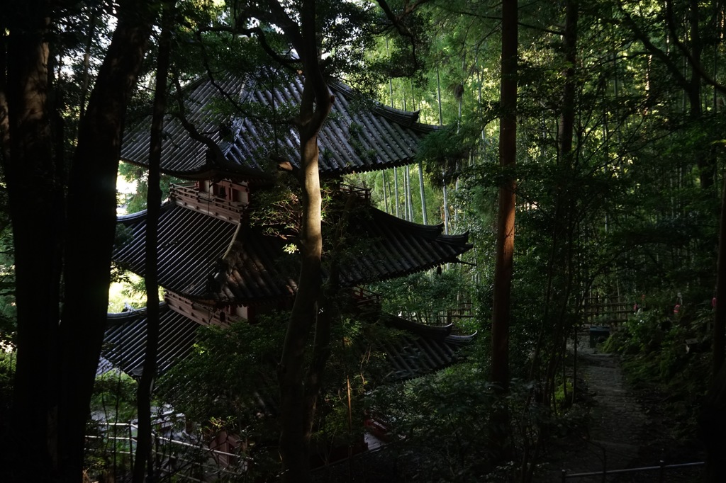 松尾寺の三重塔