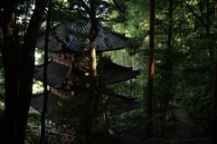 松尾寺の三重塔