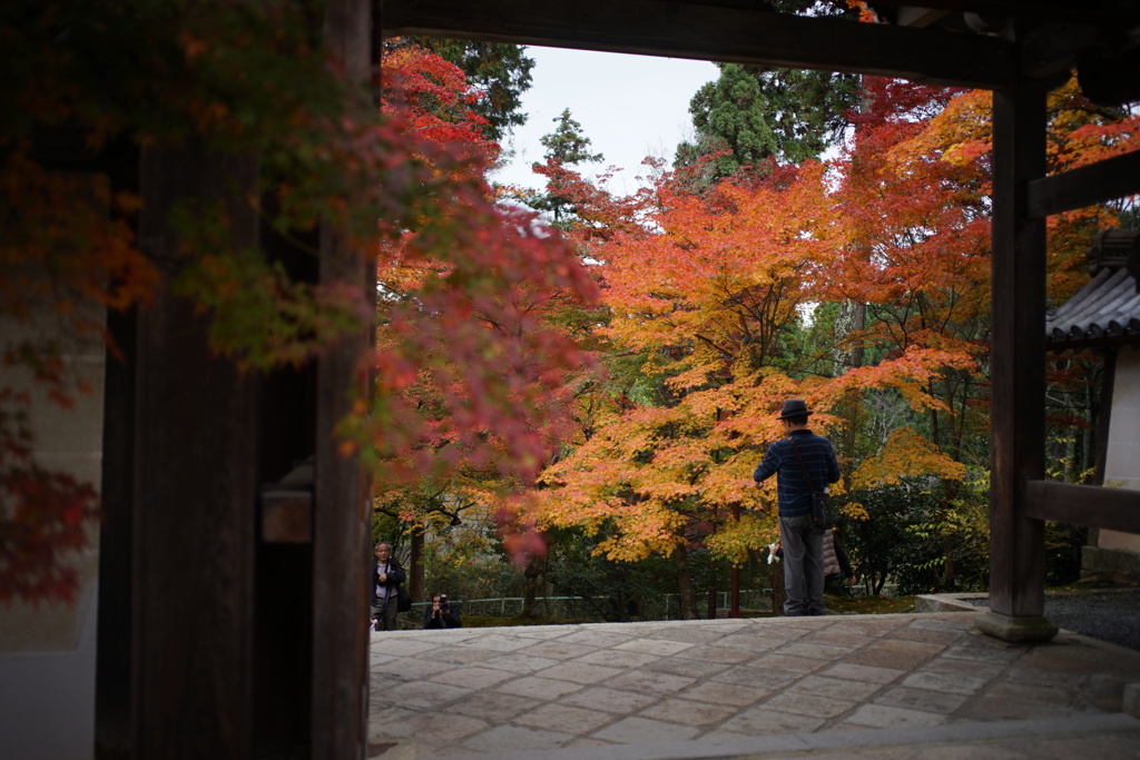 勅使門越しに見た紅葉