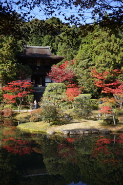 円成寺楼門と庭園