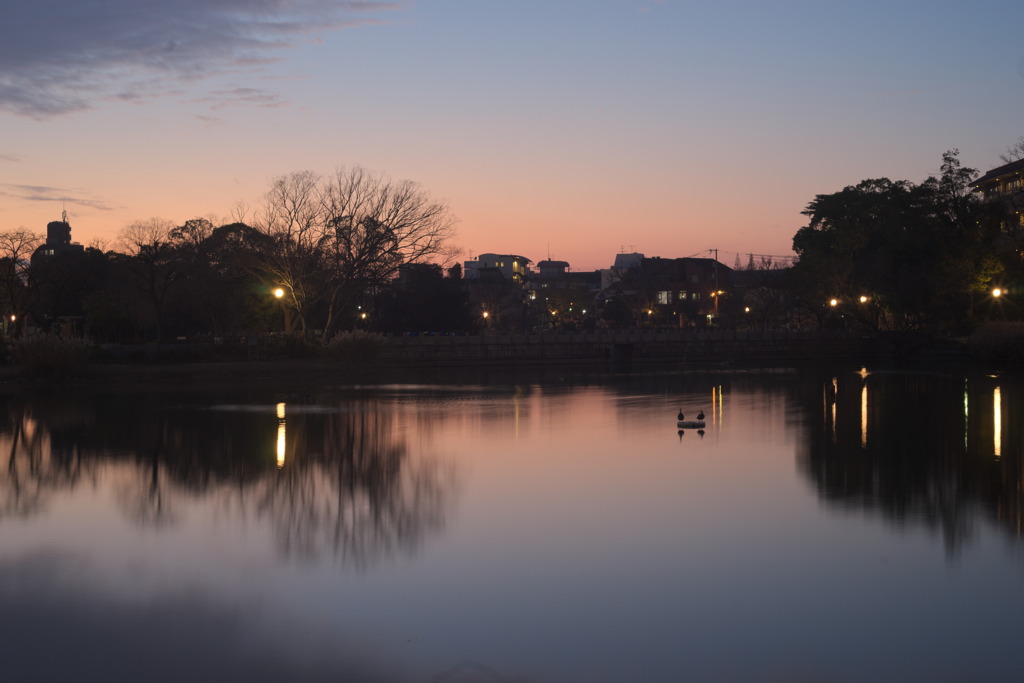 万代池の夕暮れ