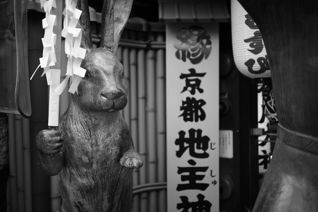 地主神社のうさぎ