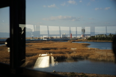 野鳥園展望塔の窓