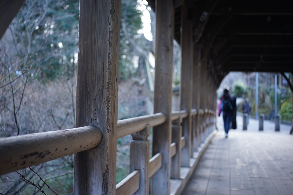 東福寺の臥雲橋