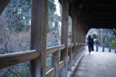東福寺の臥雲橋