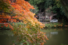 御髪神社と紅葉