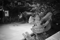 サイのスカル