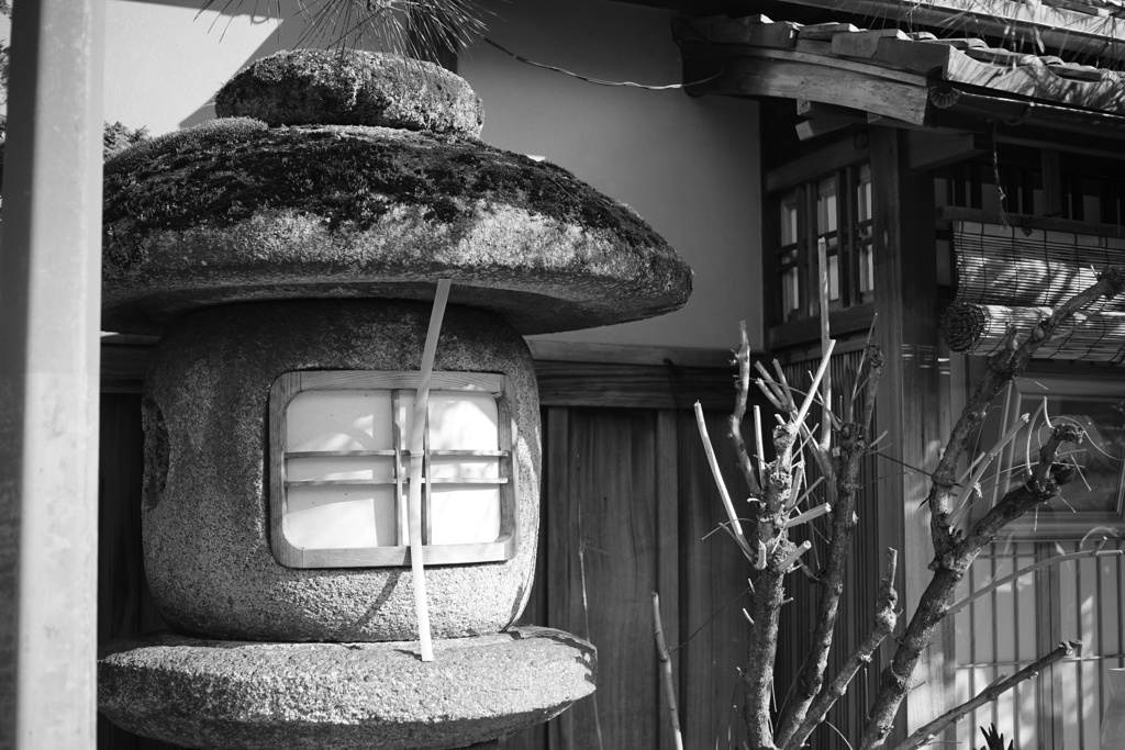 竹ひご