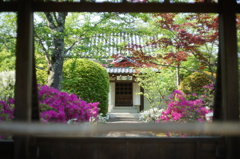 天龍寺庭園から見た甘雨亭