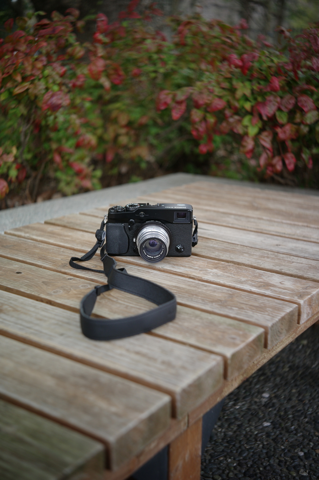 X-pro1＋NIKKOR-H･C 1:2 f=5cm