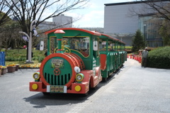 長居植物園のアドベンチャー号1号車
