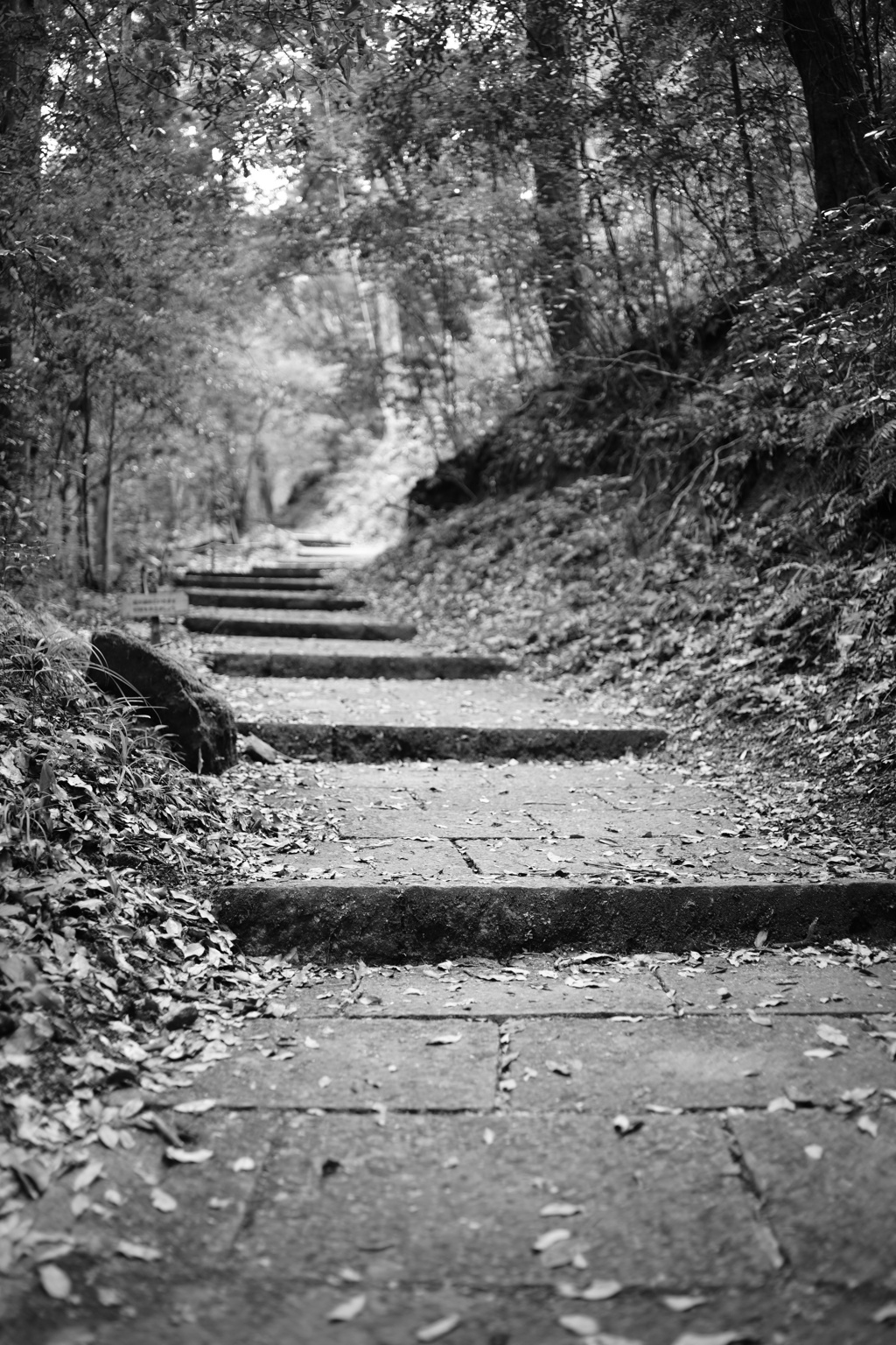 岩湧登山古道