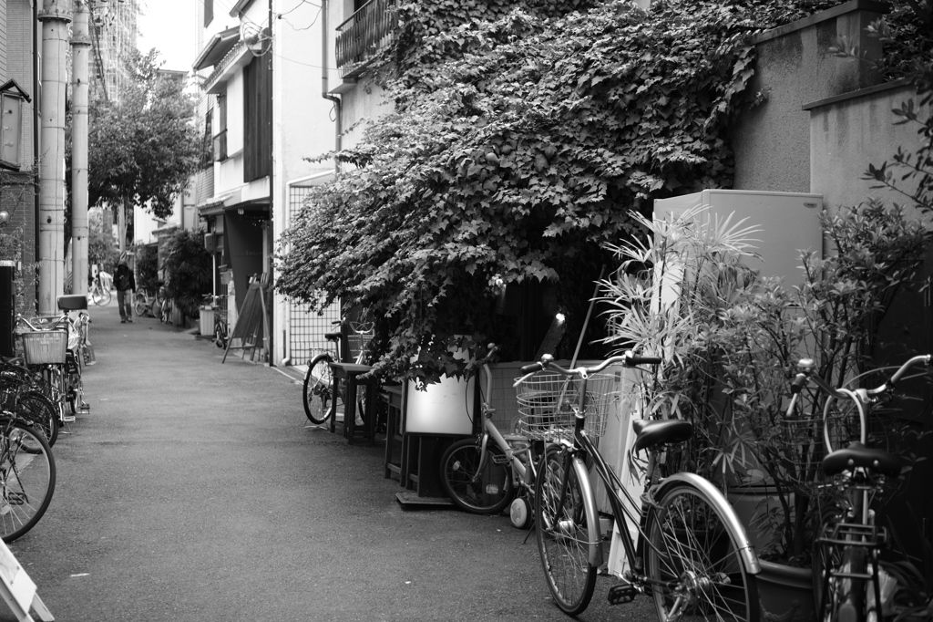 植物に覆われた喫茶店