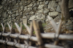 清水寺の石仏
