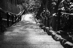 青蓮院の大森有斐の庭の道