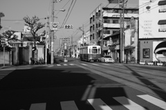 初詣客を運ぶ電車