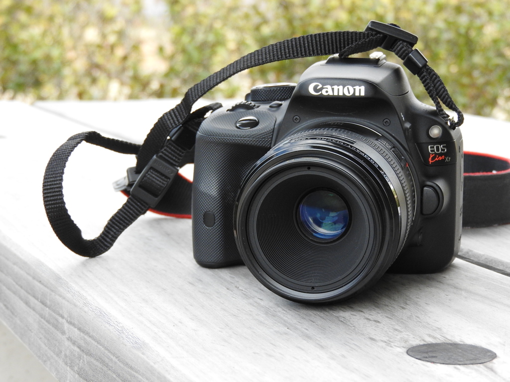 EOS Kiss X7＋EF50mm f/2.5 Compact Macro