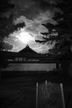 東大寺の月夜