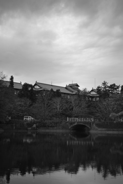 奈良ホテルと鷺池