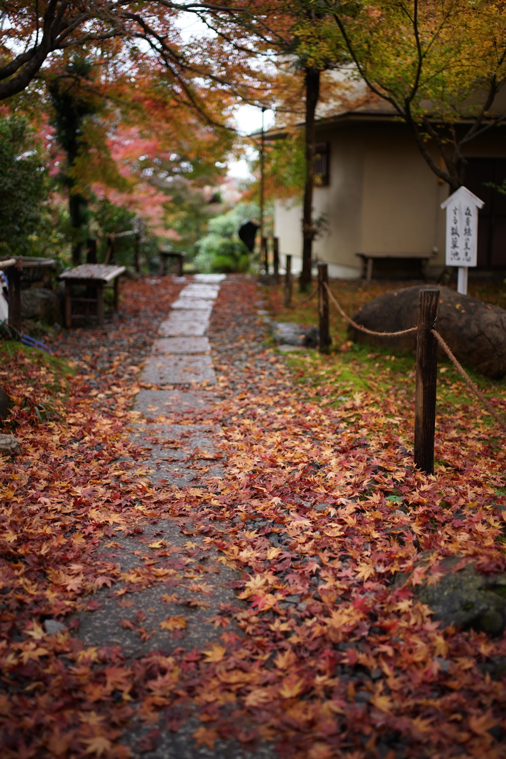 庭園の径