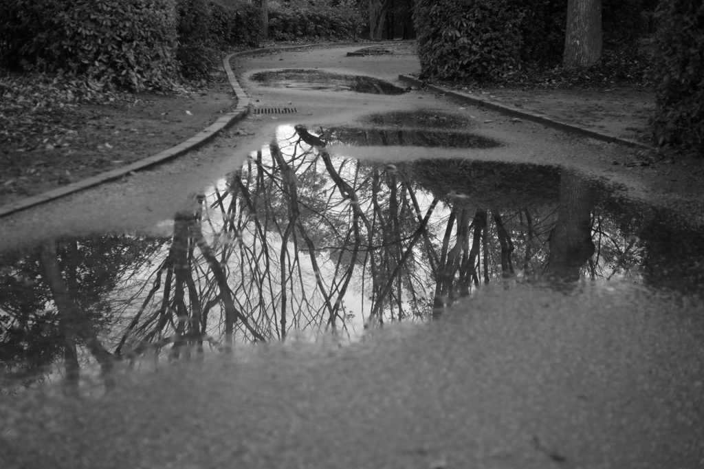 雨上がり