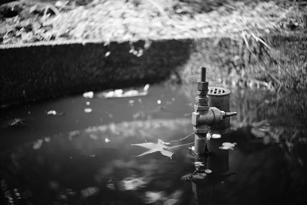 鶴見緑地の水瓶