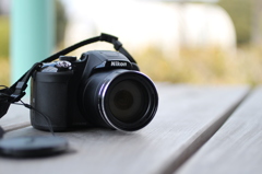 野鳥撮影用のCOOLPIX P610
