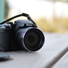 野鳥撮影用のCOOLPIX P610