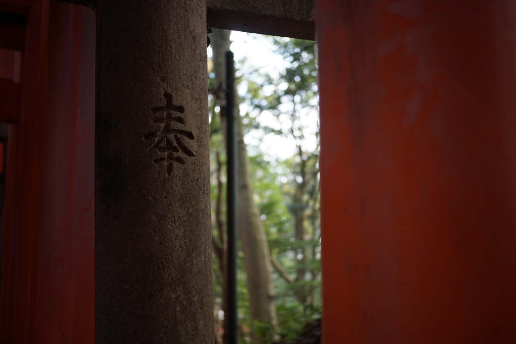 千本鳥居の中の石鳥居